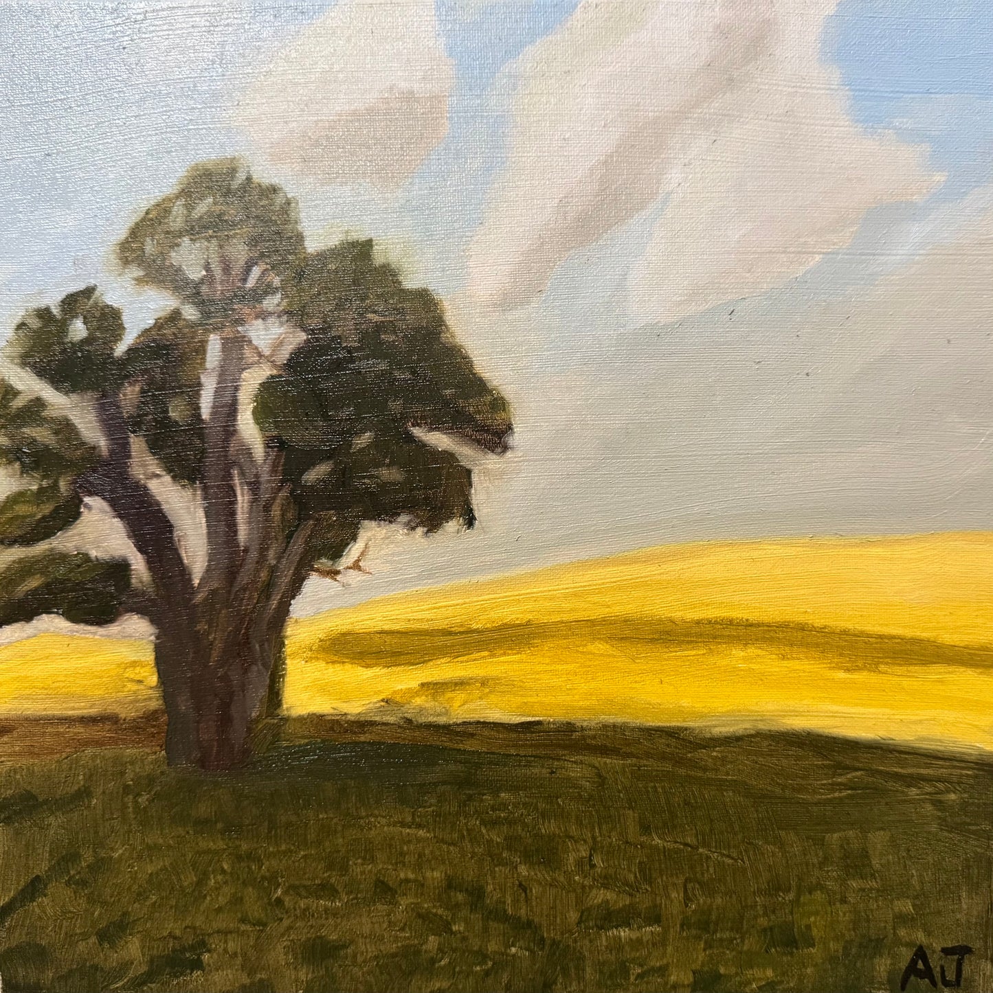 2025 C04 - Golden Fields of Regina