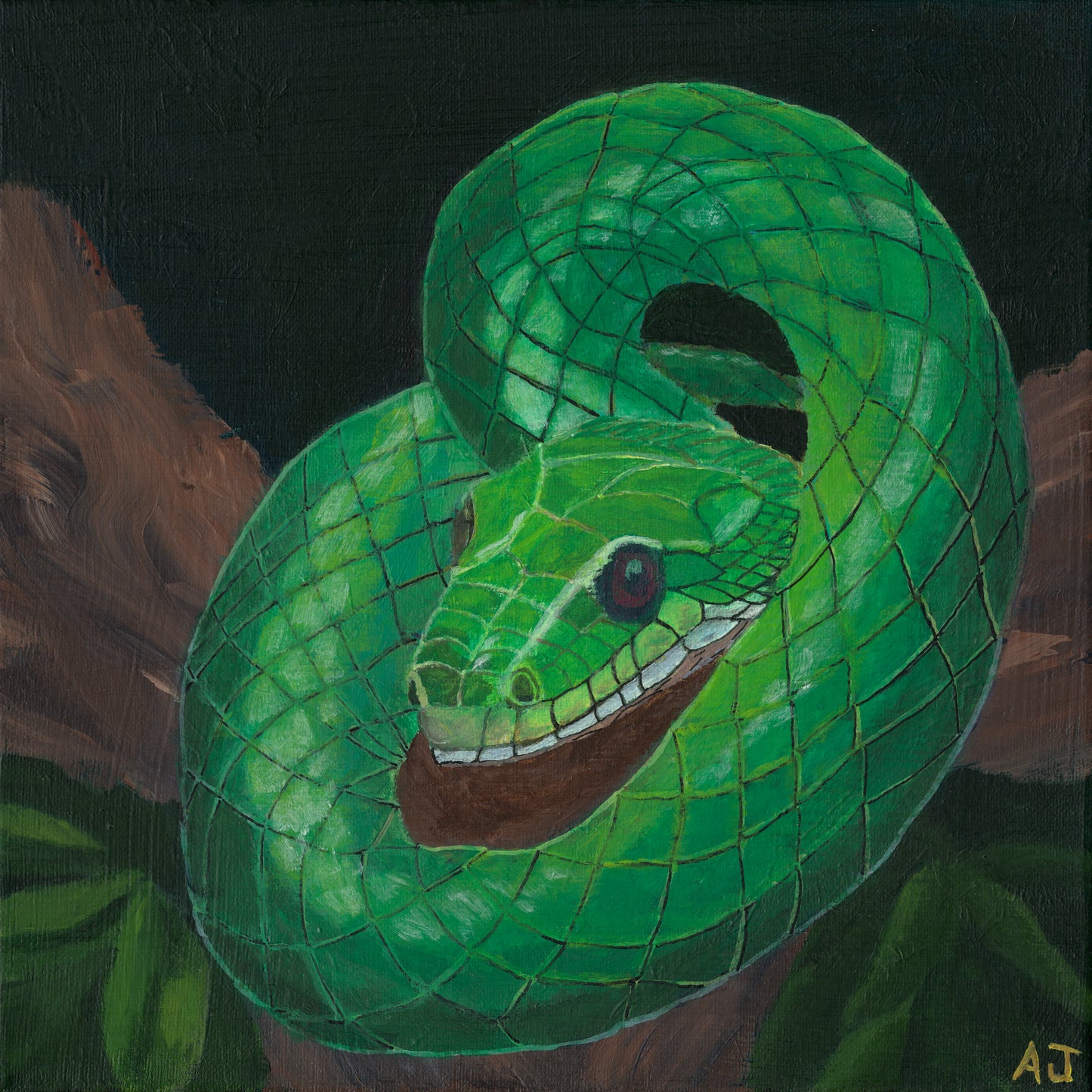 ZDIG001 - Emerald Coil - Digital Version