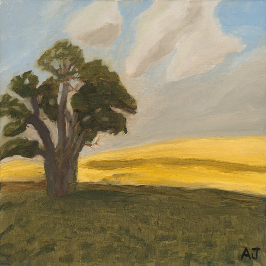 2025 C07 - Golden Fields of Regina - Oil Painting