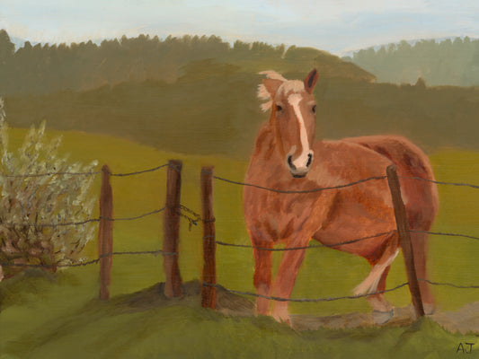 Painting of a horse standing behind a barbed wire fence in a field with trees in the background.